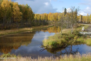 49646 S Hunter Dr, Willow, AK 99688 - photo 2