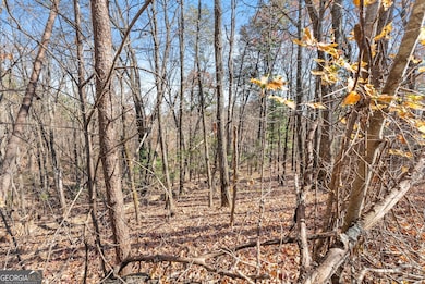 LOT 26 & 27 Spring Crest Rd, Cleveland, GA 30528 - photo 7