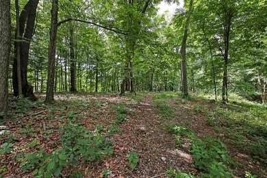 4102 E Walnut-20160716008 sm