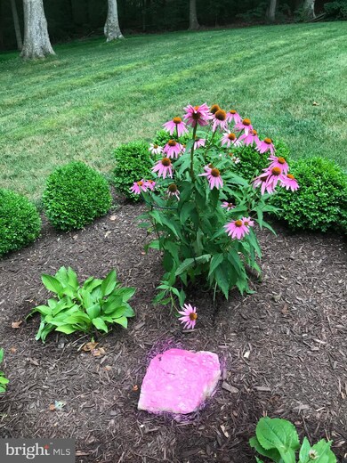 12681 Crossbow Dr, Manassas, VA 20112 - photo 4