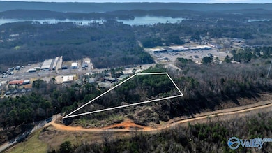 100 Stewart Rd, Scottsboro, AL 35769 - photo 3