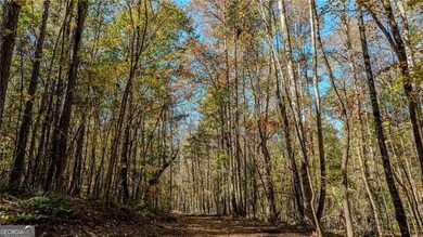 0 Jones Ferry Rd unit 1, Palmetto, GA 30268 - photo 5