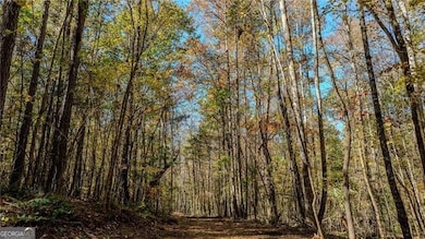 0 Jones Ferry Rd unit 10649572, Palmetto, GA 30268 - photo 5