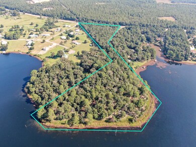 13.7 AC Us Highway 331, Defuniak Springs, FL - photo 6