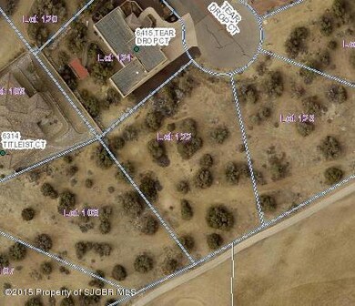 6419 Tear Drop Ct, Farmington, NM 87402 - photo 2