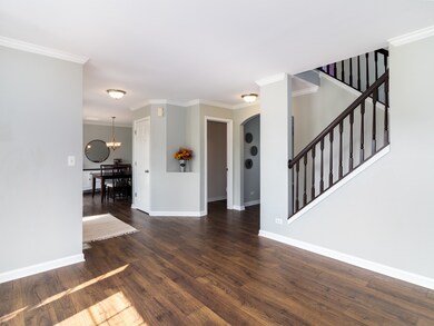 132 Oak Hill Ct, North Aurora, IL 60542 - photo 3