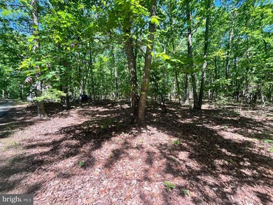 0 Elk Run Rd unit VAFQ2013556, Midland, VA 22728 - photo 4