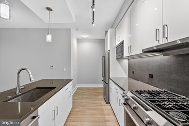 Peninsula 88 unit 509, Washington, DC 20024 - photo 7