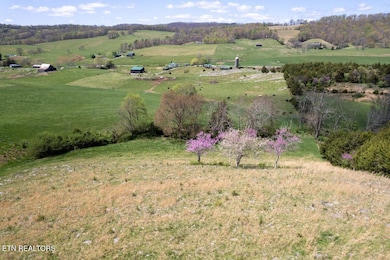DJI_0732