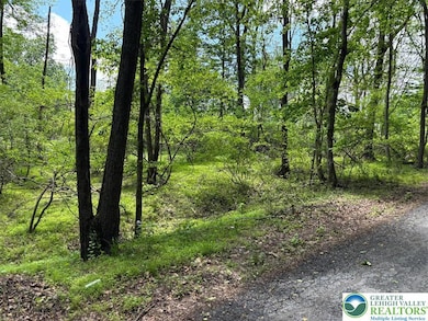 0 1st St unit 753593, Portland, PA 18351 - photo 3