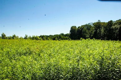 6877 N Nature Ln, Laporte, IN 46350 - photo 3