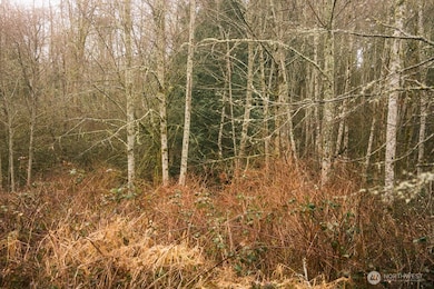 0 Lopez St, Bellingham, WA 98229 - photo 4