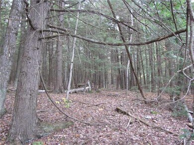 Land.