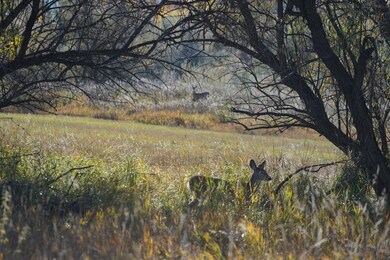 2615 Teal Spring Dr, Sheridan, WY 82801 - photo 6