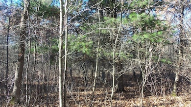 Lot 1 Ferry Rd, Grantsburg Township, WI 54840 - photo 4