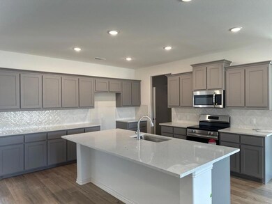 1308 San Marcus Dr, Springtown, TX 76082 - photo 6