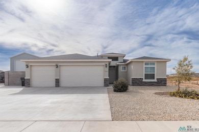 3709 S Sunnyview Ave, Carlsbad, NM 88220 - photo 2