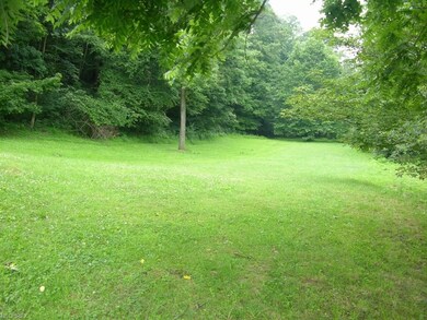 Wonderful Side Lawn