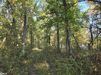 0 Tulip Ave, Floris, IA 52560 - photo 5