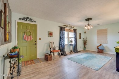 117 Morgan Ln, Fall Branch, TN 37656 - photo 5