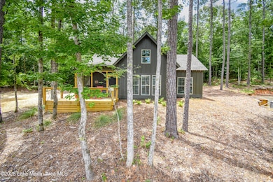 64 Harmony Cove Ln, Eclectic, AL 36024 - photo 2