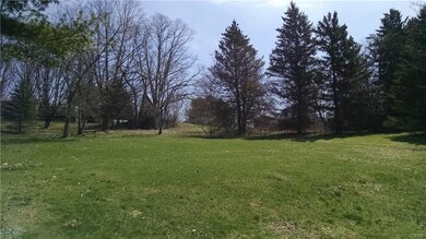 Another view of the serene backyard setting.