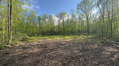 0 Butternut Road & Mahogany Rd, Jim Thorpe, PA 18229 - photo 3