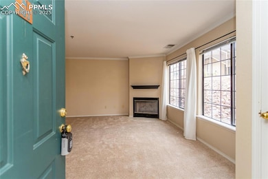 2122 Denton Grove unit 103, Colorado Springs, CO 80919 - photo 6