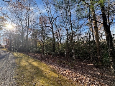 TBD Crooked White Oak Tr, Hillsville, VA 24343 - photo 7