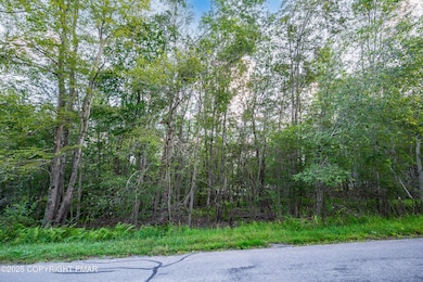 6 Orono Dr, Pocono Lake, PA 18347 - photo 3