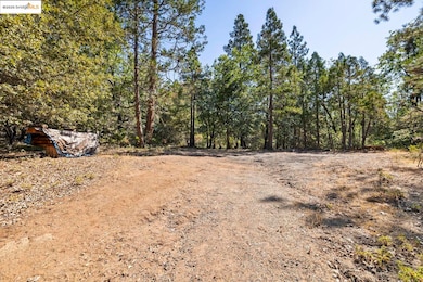 unlisted-address, Twain Harte, CA 95383 - photo 3