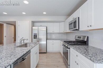 8004 Nico Way, Peyton, CO 80831 - photo 5