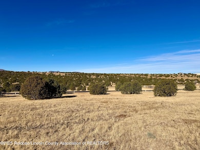 111 Rainmakers Dr, Alto, NM 88312 - photo 6