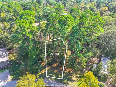 0 Harbor Point Section B, Trinity, TX 75862 - photo 7