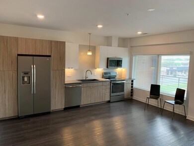 Kitchen with dark wood-style floors, modern cabin