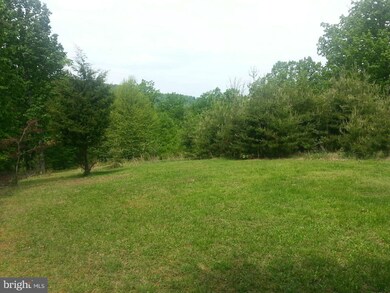 0 Lions Ln unit 1003532114, Boyce, VA 22620 - photo 3