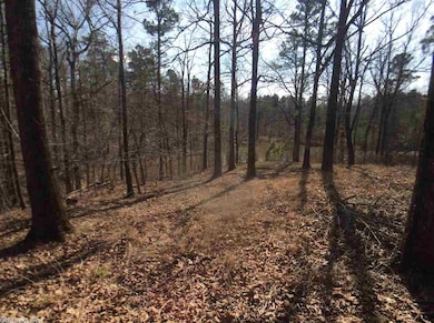 0 Greene 623 Rd unit 17007047, Paragould, AR 72450 - photo 3