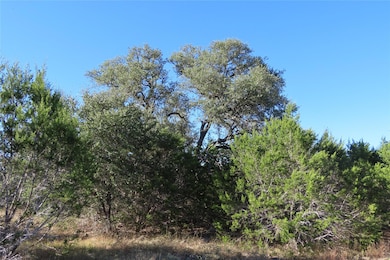 317 Little Gabriel River Dr, Liberty Hill, TX 78642 - photo 6