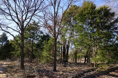 01 Private Road 5204, Athens, TX 75751 - photo 6