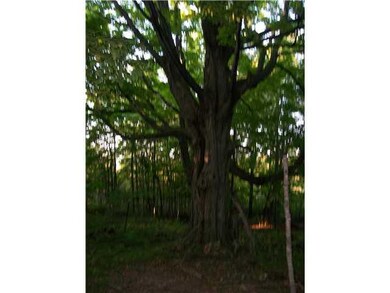 Land. Another view of the wooded area of Clay Stre
