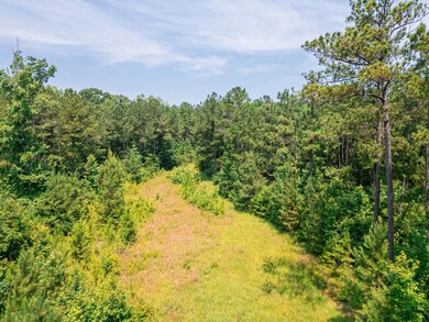 0 Highway 19 S unit 24061935, Thomaston, GA 30286 - photo 7