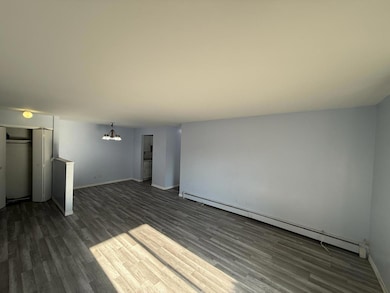 1195 Meadow Ln unit 114, Hoffman Estates, IL 60169 - photo 2