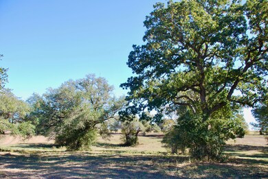 Tbd Holub Rd, Schulenburg, TX 78956 - photo 7