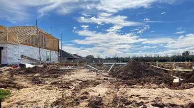 31715 Daisy Draper Ln, Hockley, TX 77447 - photo 2