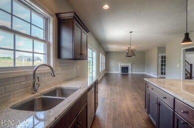 104 Dode, Downs, IL 61736 - photo 6