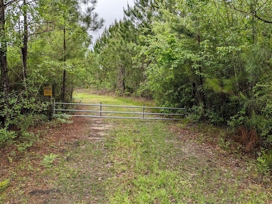 Lot 3 Mcmillan Rd, Hahira, GA - photo 3