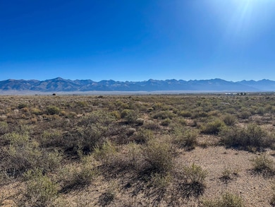 56501 Ewing Rd, Moffat, CO 81143 - photo 6