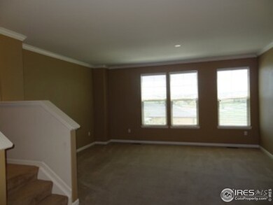 13426 Via Varra, Broomfield, CO 80020 - photo 3