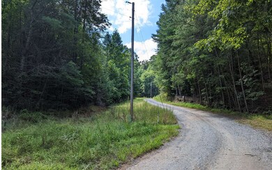 Additional View