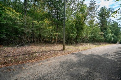12263 Poole Rd unit 1, Duncanville, AL 35456 - photo 2